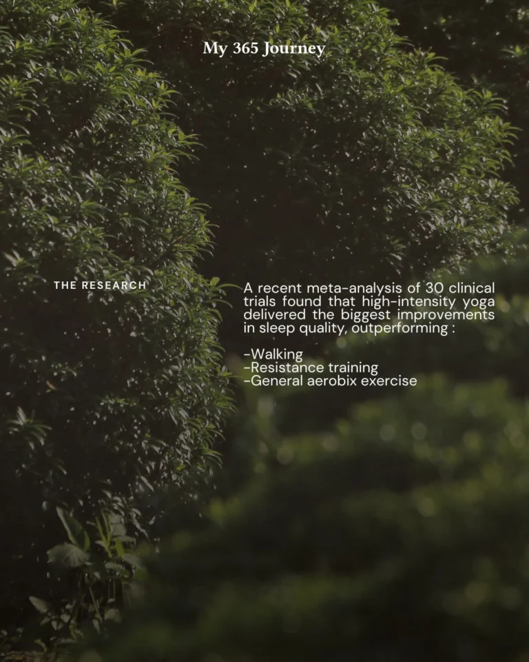 Instagram post from my365journey.life. This post is in position 1.